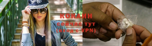 прущие грибы Новокубанск