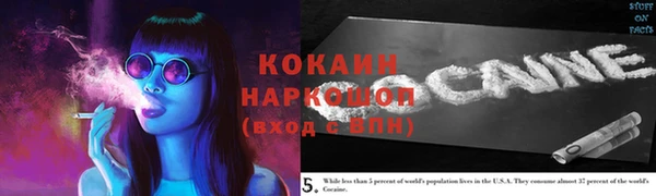 прущие грибы Новокубанск
