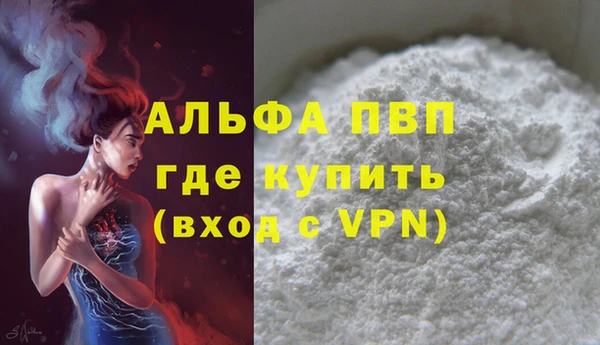 прущие грибы Новокубанск