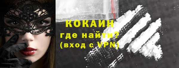 прущие грибы Новокубанск