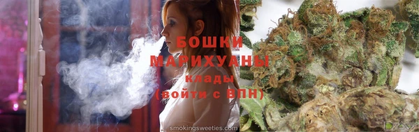 прущие грибы Новокубанск